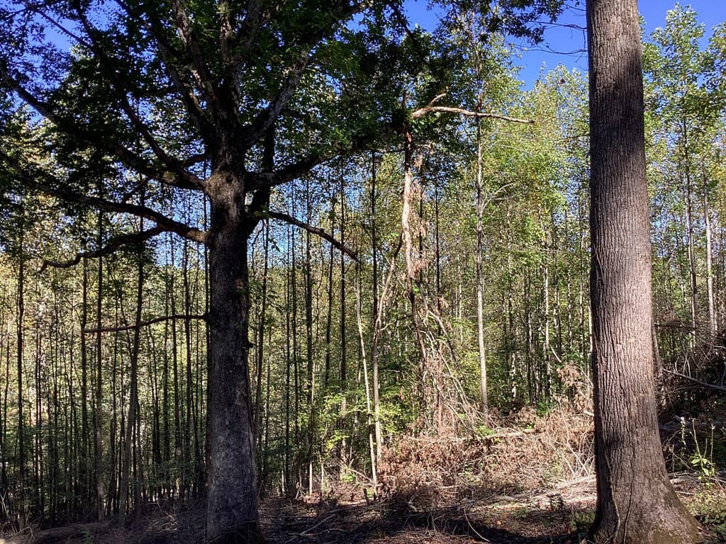 Lot 2 Buckhead Hills, Hiawassee GA 30546 - Photo