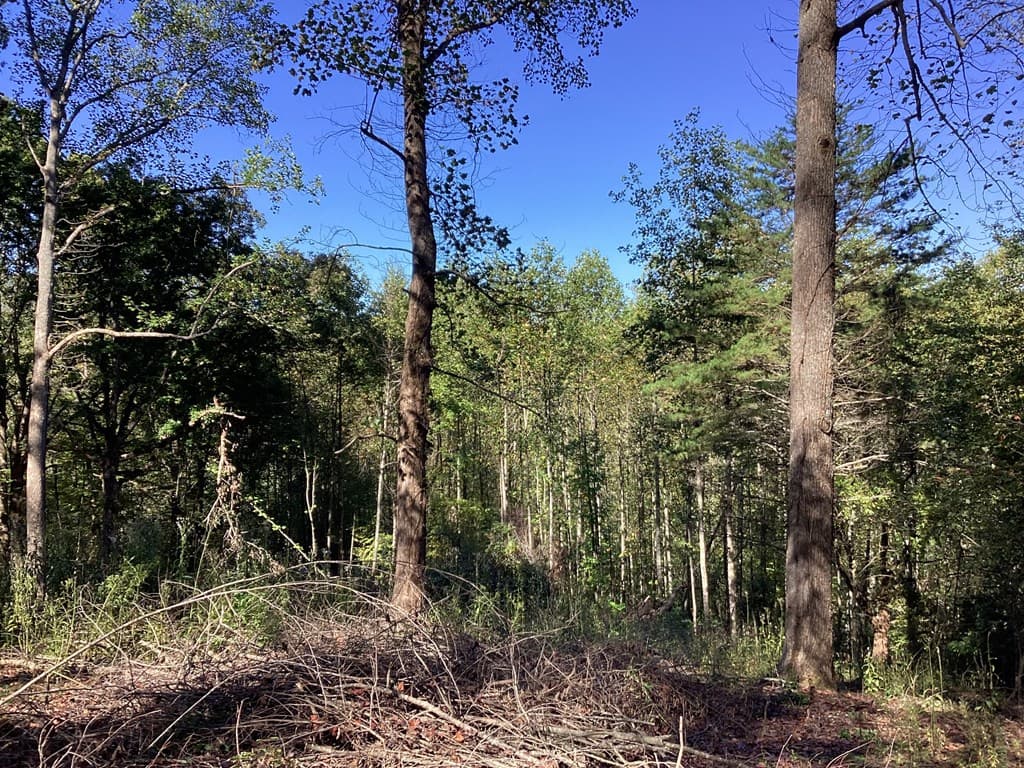 Lot 2 Buckhead Hills, Hiawassee GA 30546 - Photo