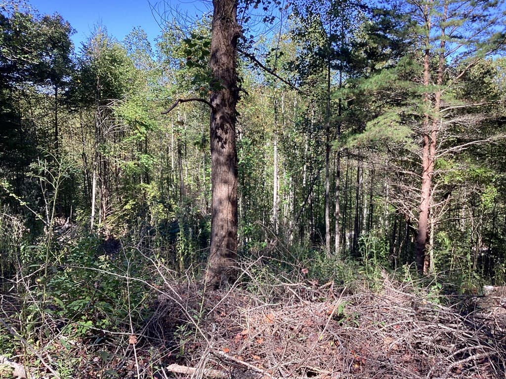 Lot 2 Buckhead Hills, Hiawassee GA 30546 - Photo