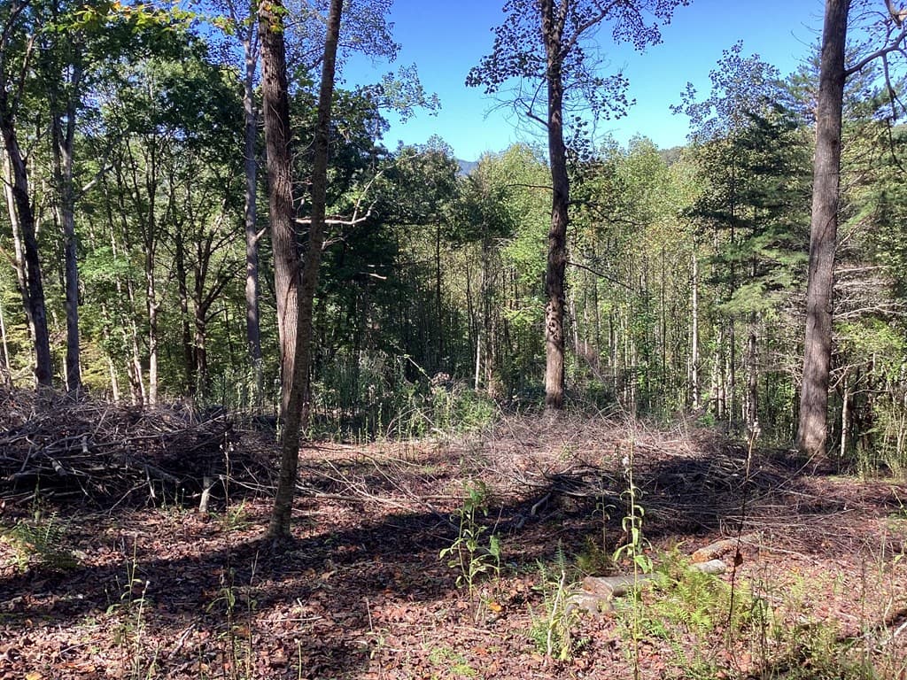 Lot 2 Buckhead Hills, Hiawassee GA 30546 - Photo