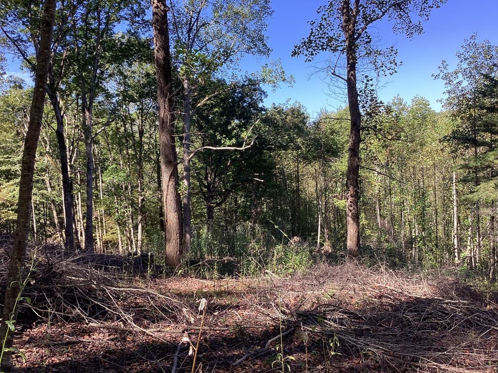 Lot 2 Buckhead Hills, Hiawassee GA 30546 - Photo