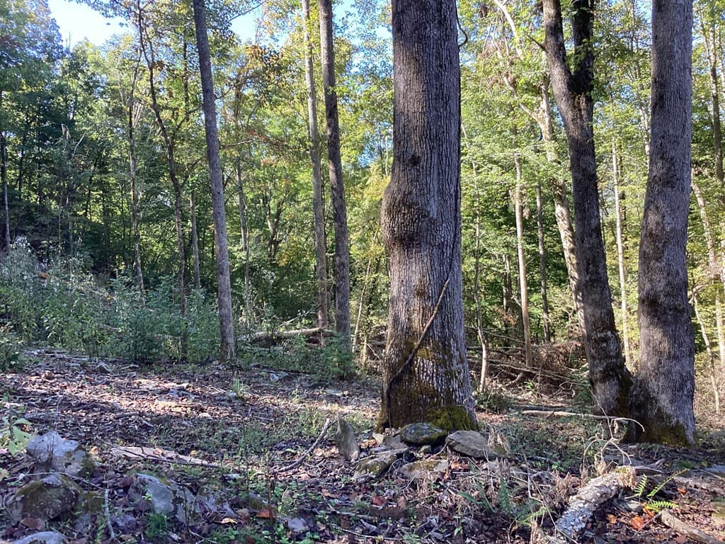 Lot 2 Buckhead Hills, Hiawassee GA 30546 - Photo