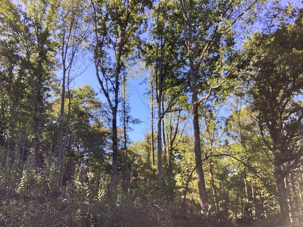 Lot 2 Buckhead Hills, Hiawassee GA 30546 - Photo