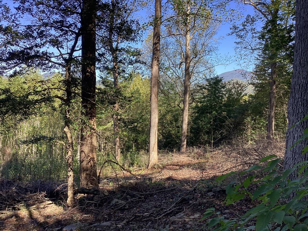 Lot 2 Buckhead Hills, Hiawassee GA 30546 - Photo