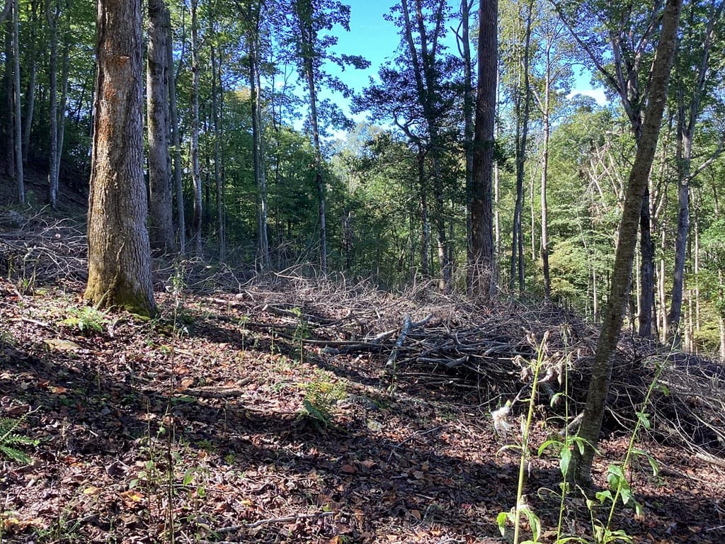 Lot 2 Buckhead Hills, Hiawassee GA 30546 - Photo