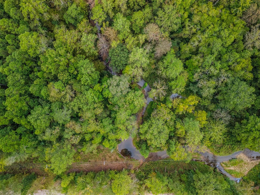 2.09 ac Old Northcutt Road, Ellijay GA 30540 - Photo