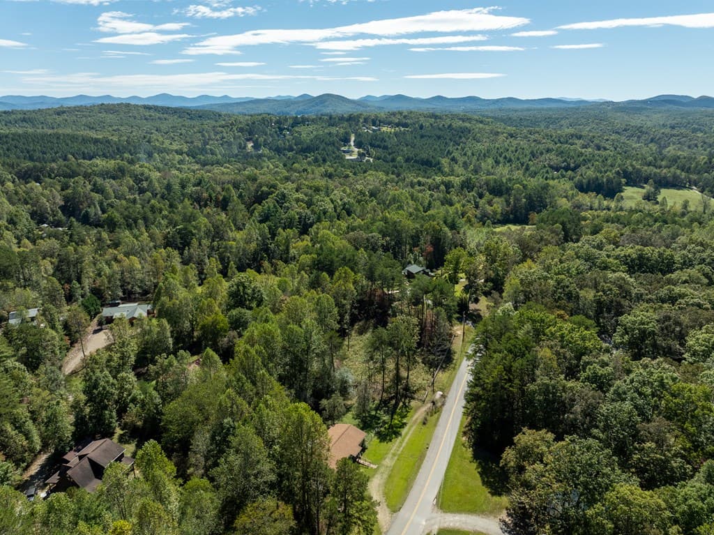1813 John Smith Road E, Blairsville GA 30512 - Photo