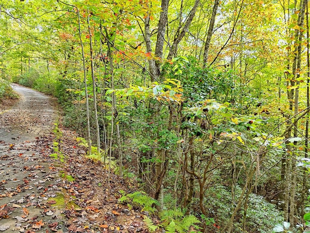 Lot 12 Smokin Ridge, Hayesville NC 28906 - Photo
