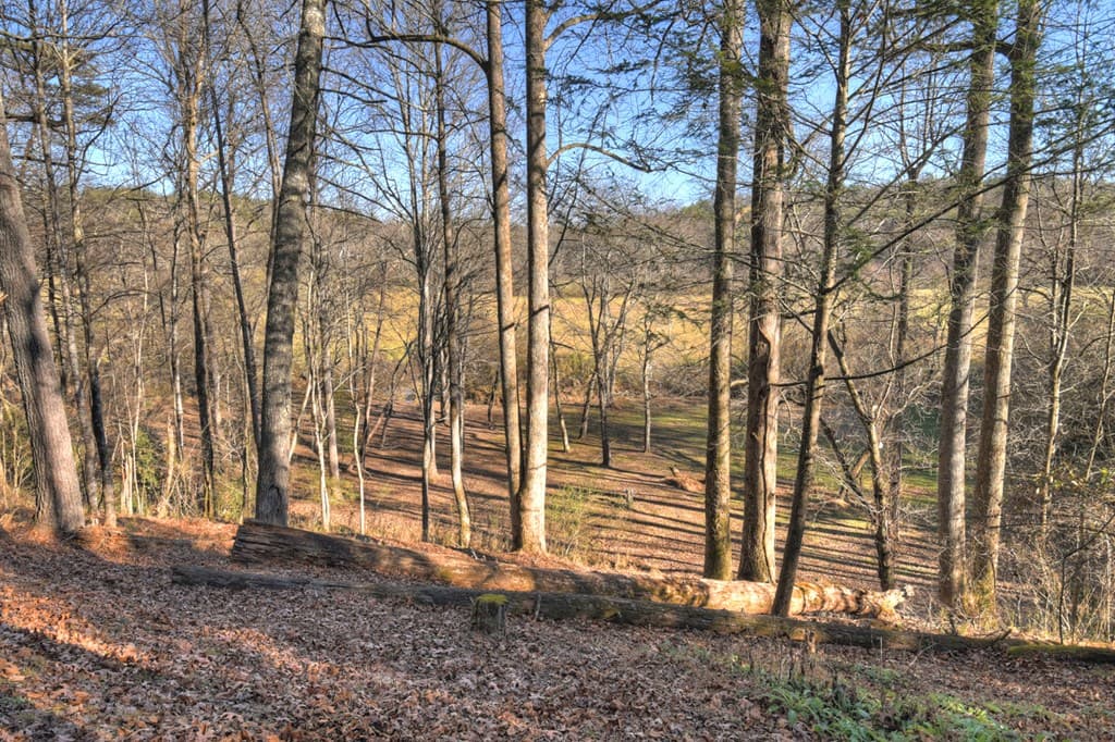 445 Twin Creeks Road, Blue Ridge GA 30513 - Photo