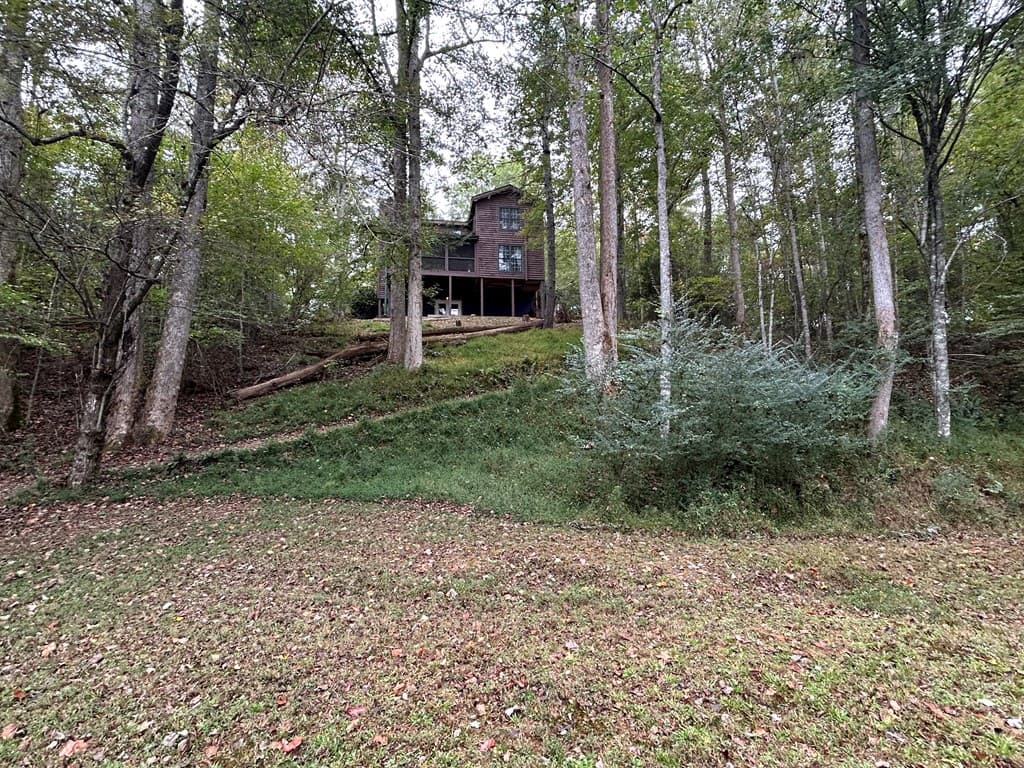 445 Twin Creeks Road, Blue Ridge GA 30513 - Photo