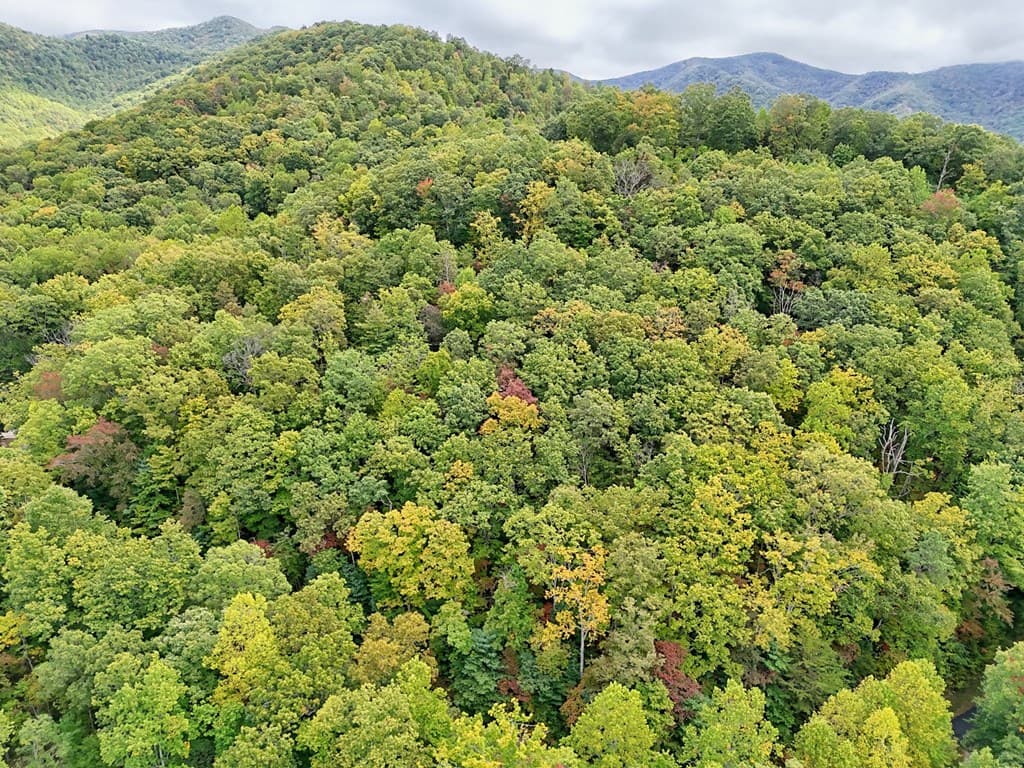 Lot 27 Skyview Drive, Hayesville NC 28904 - Photo