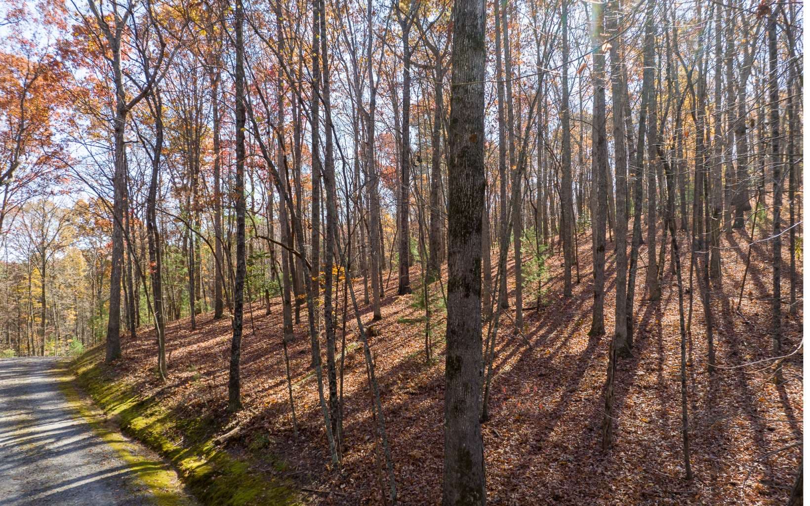LOT 7 Joseph Anderson Trail, Ellijay GA 30536 - Photo