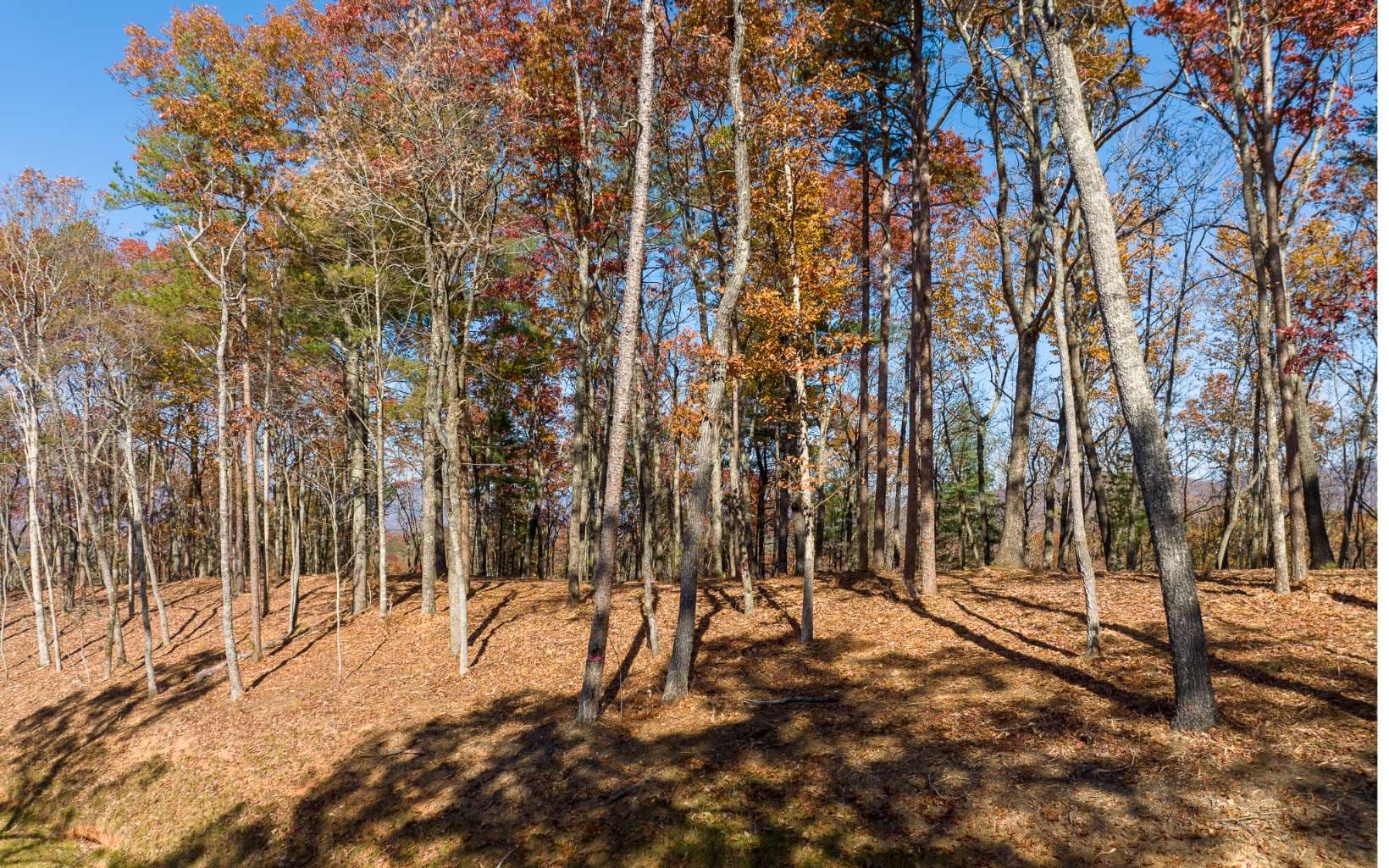 LOT 39 Preserve Trail, Ellijay GA 30536 - Photo