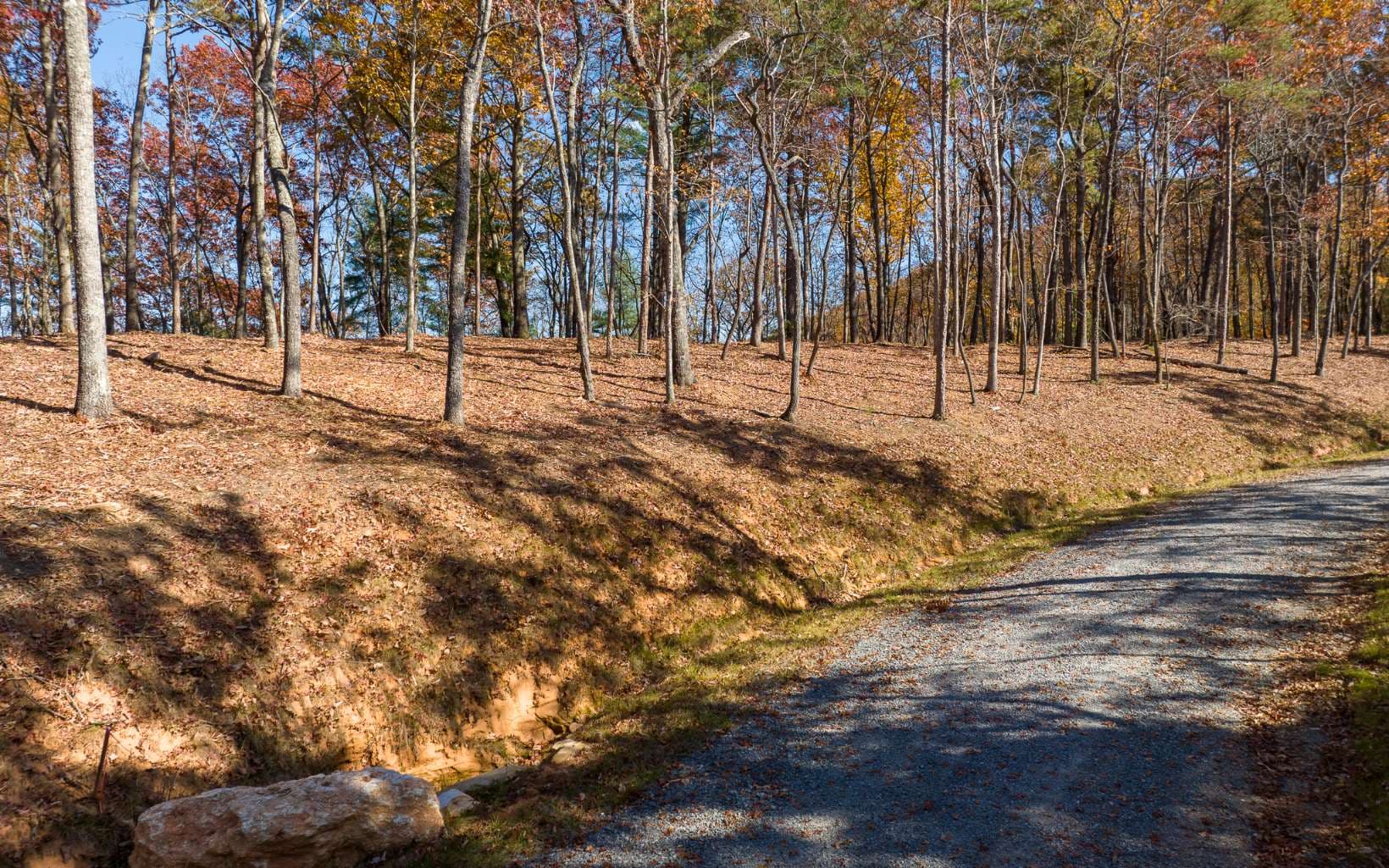 LOT 39 Preserve Trail, Ellijay GA 30536 - Photo