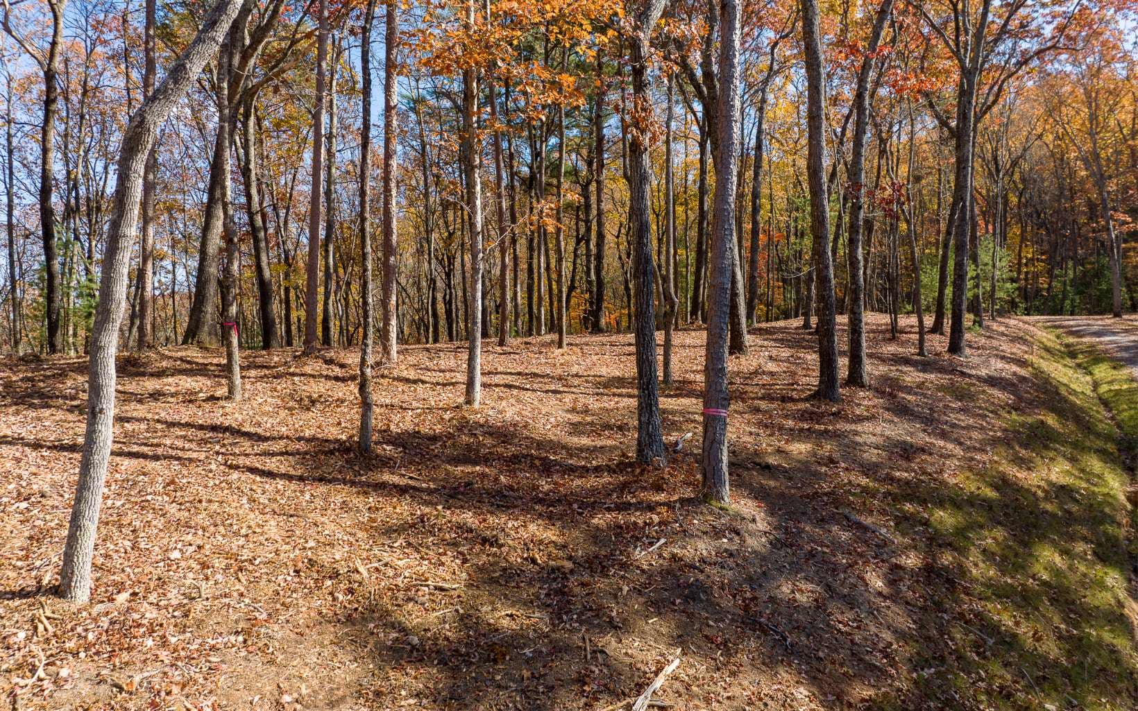 LOT 39 Preserve Trail, Ellijay GA 30536 - Photo