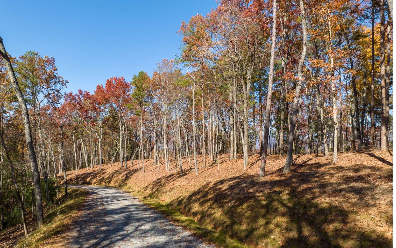 LOT 39 Preserve Trail, Ellijay GA 30536 - Photo