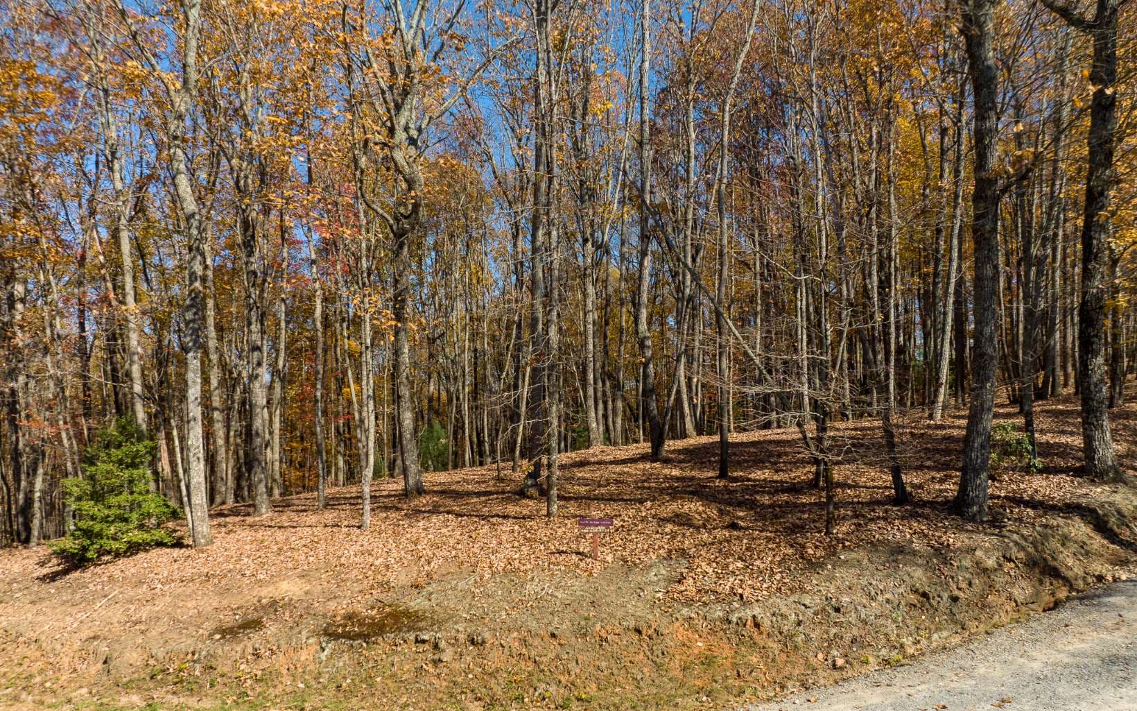 19R Settlement Trail, Ellijay GA 30536 - Photo