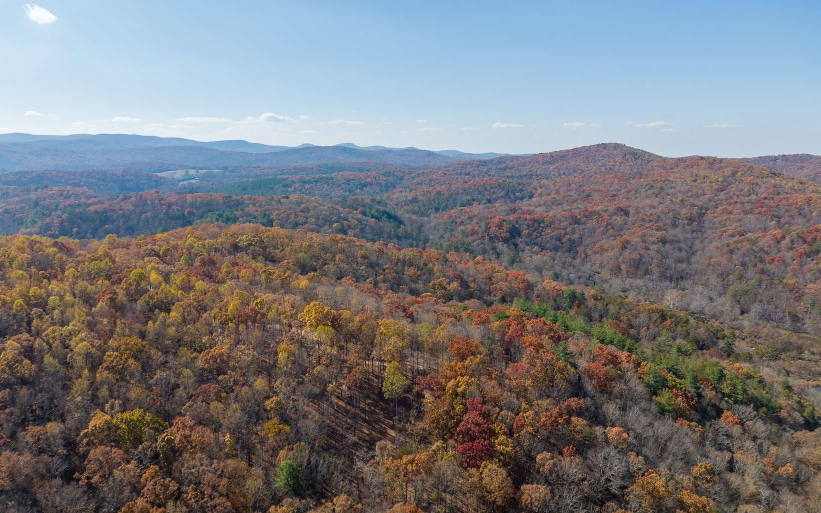 19R Settlement Trail, Ellijay GA 30536 - Photo