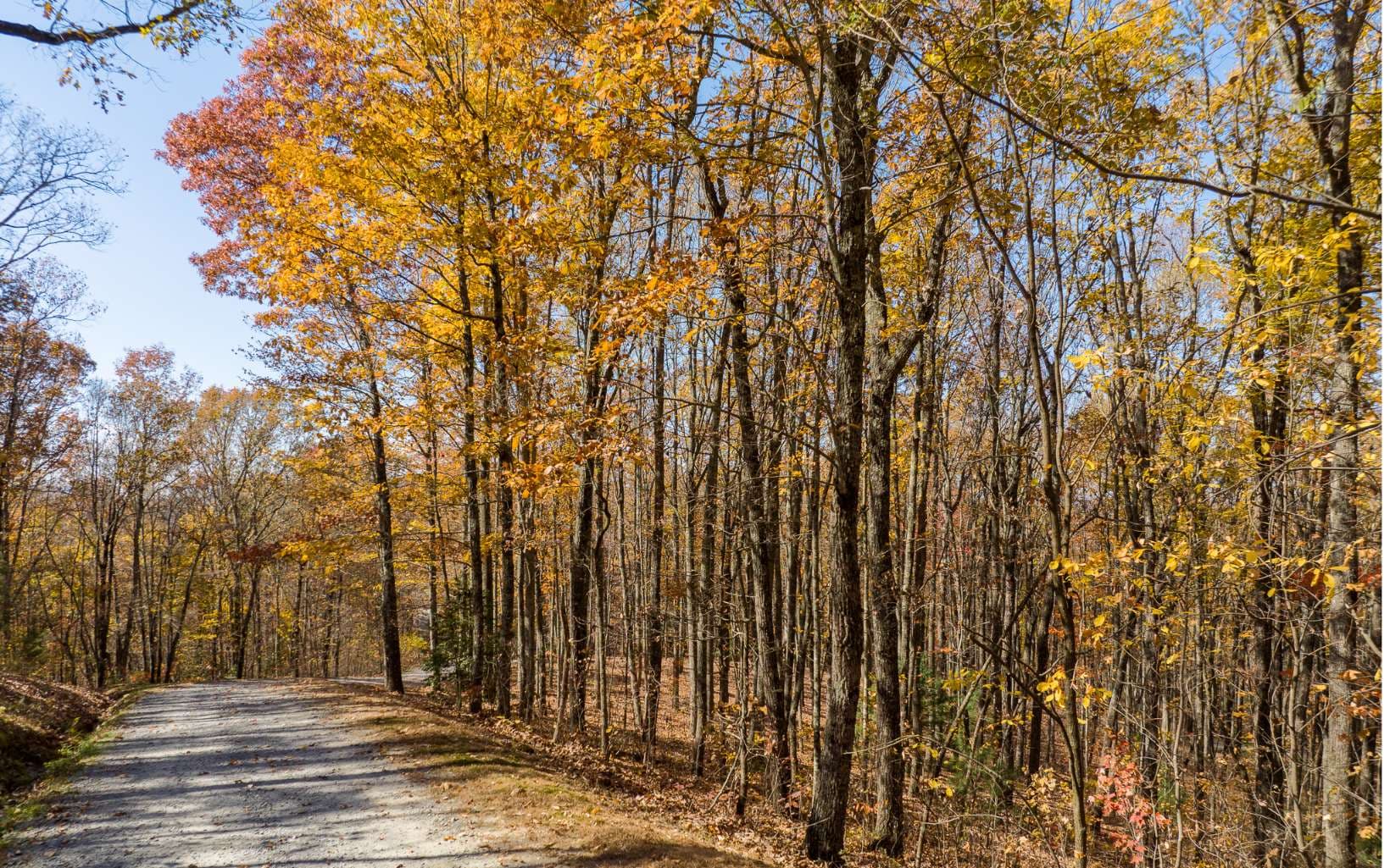 19R Settlement Trail, Ellijay GA 30536 - Photo