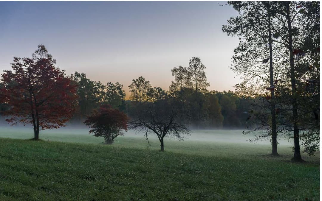 19R Settlement Trail, Ellijay GA 30536 - Photo