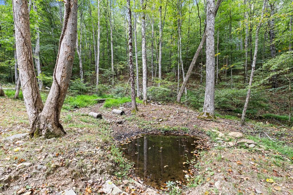 269 Brown Mountain Drive, Suches GA 30572 - Photo
