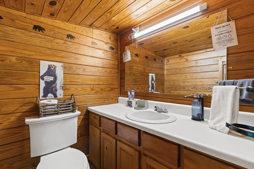 269 Brown Mountain Drive, Suches GA 30572 - Photo