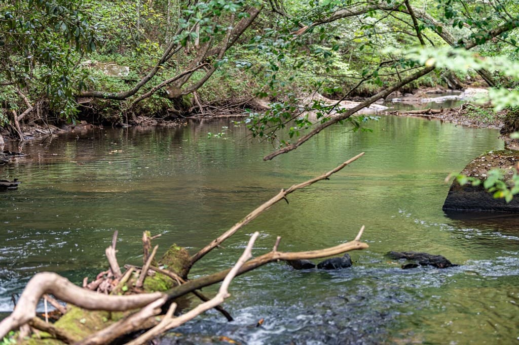 60 East Conasauga Creek, Ellijay GA 30540 - Photo