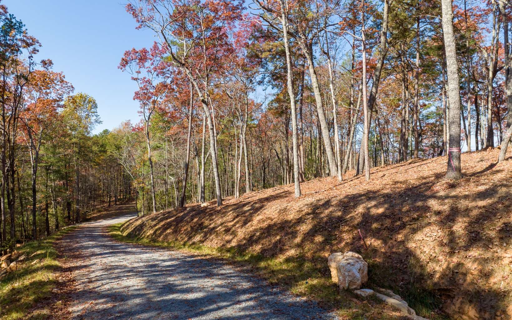 LOT 40 Preserve Trail, Ellijay GA 30536 - Photo