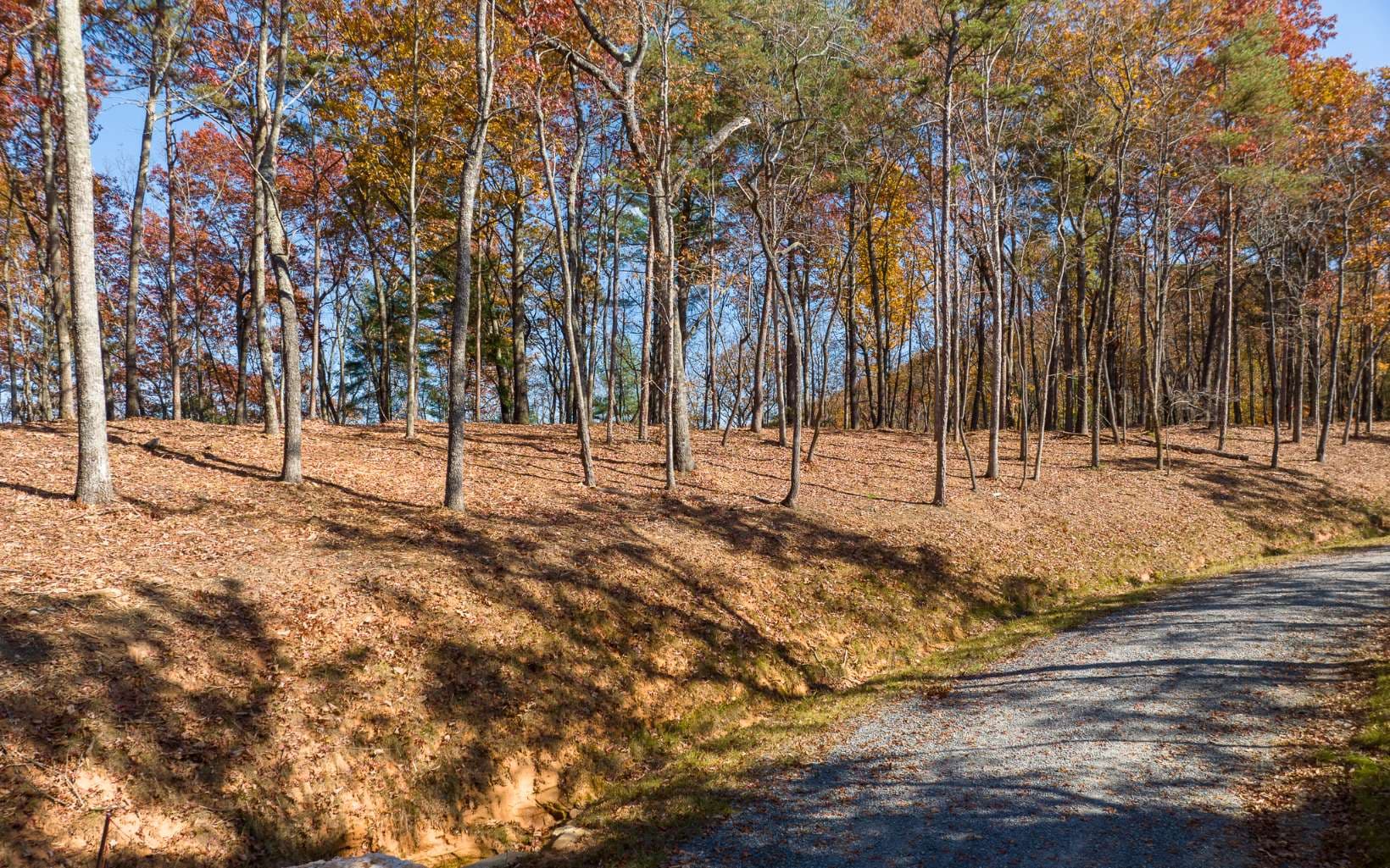 LOT 40 Preserve Trail, Ellijay GA 30536 - Photo