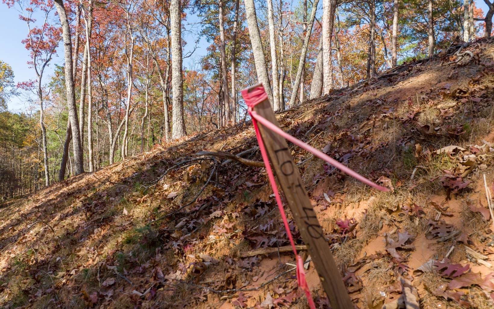 LOT 40 Preserve Trail, Ellijay GA 30536 - Photo