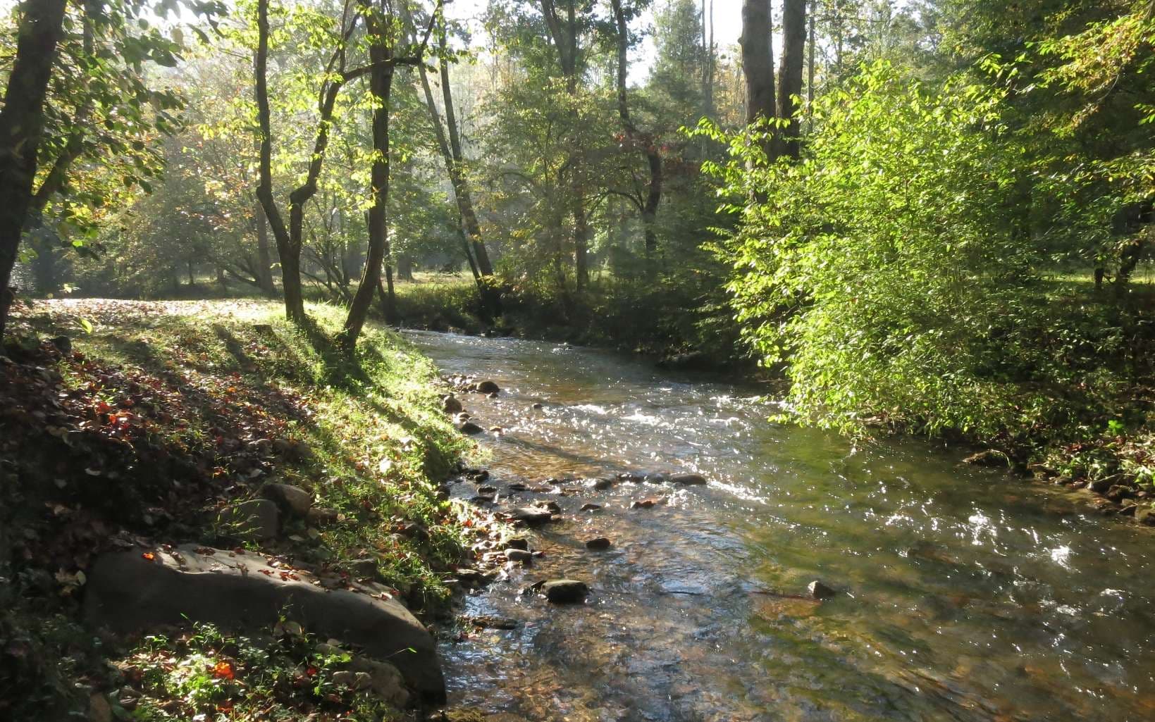 LOT 40 Preserve Trail, Ellijay GA 30536 - Photo