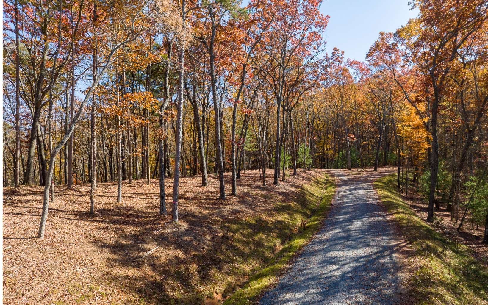 LOT 40 Preserve Trail, Ellijay GA 30536 - Photo