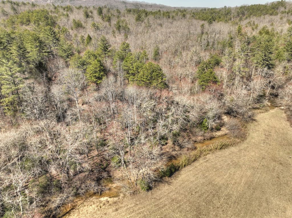 48.4ac Lofty Heights, Mineral Bluff GA 30559 - Photo