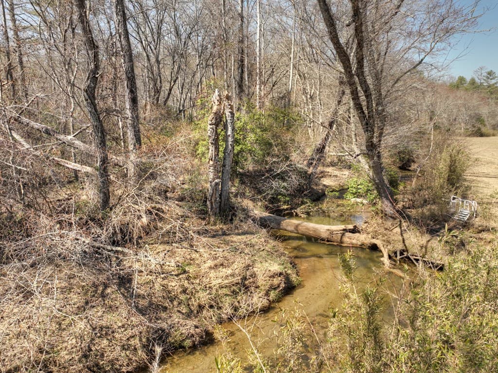 48.4ac Lofty Heights, Mineral Bluff GA 30559 - Photo