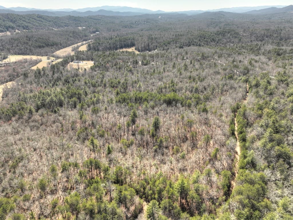 48.4ac Lofty Heights, Mineral Bluff GA 30559 - Photo
