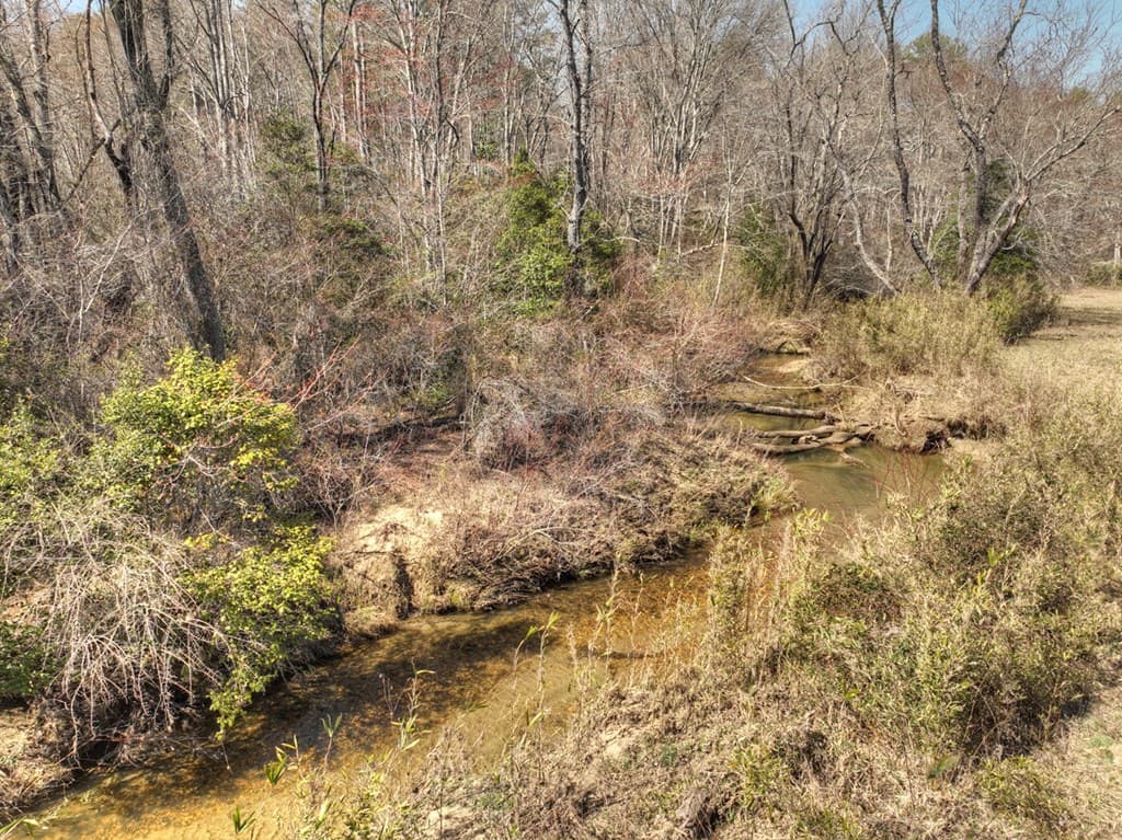 48.4ac Lofty Heights, Mineral Bluff GA 30559 - Photo