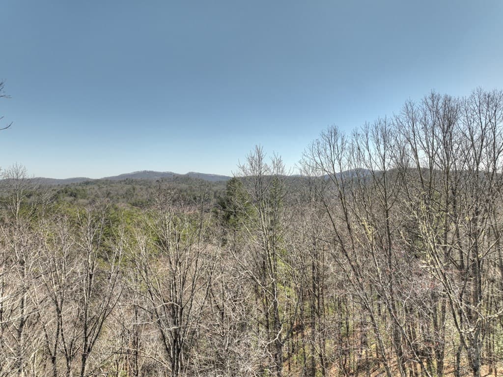 48.4ac Lofty Heights, Mineral Bluff GA 30559 - Photo