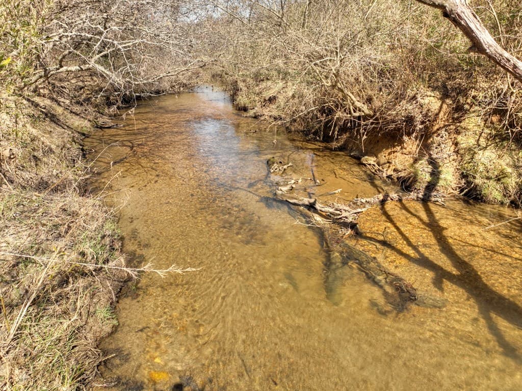 48.4ac Lofty Heights, Mineral Bluff GA 30559 - Photo