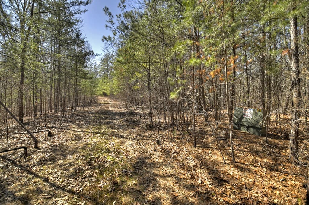 48.4ac Lofty Heights, Mineral Bluff GA 30559 - Photo