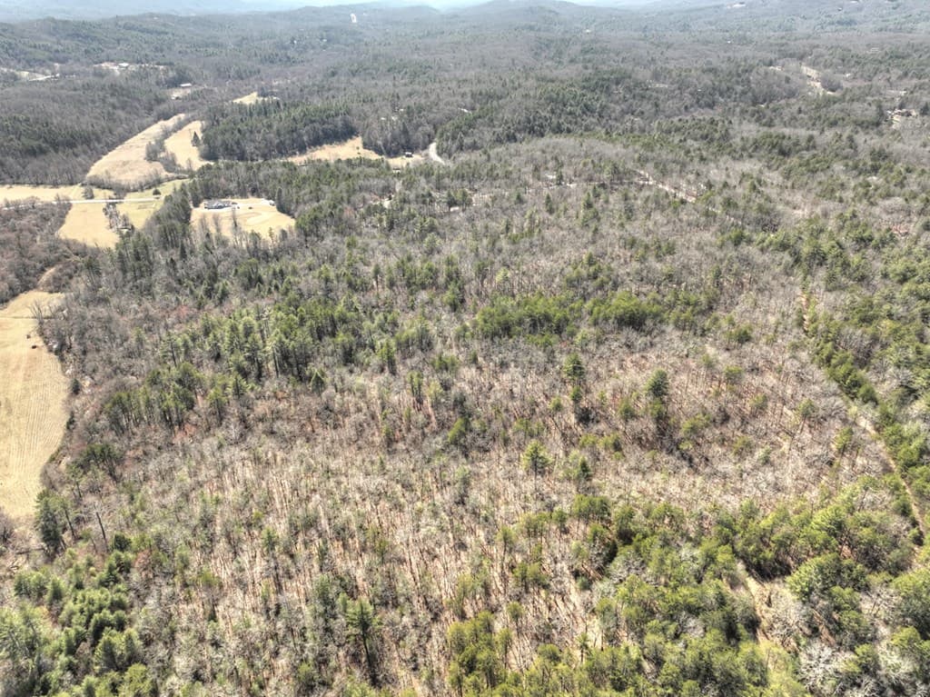 48.4ac Lofty Heights, Mineral Bluff GA 30559 - Photo