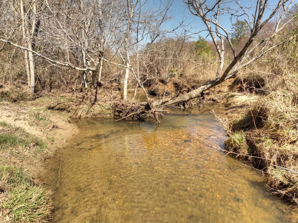 48.4ac Lofty Heights, Mineral Bluff GA 30559 - Photo