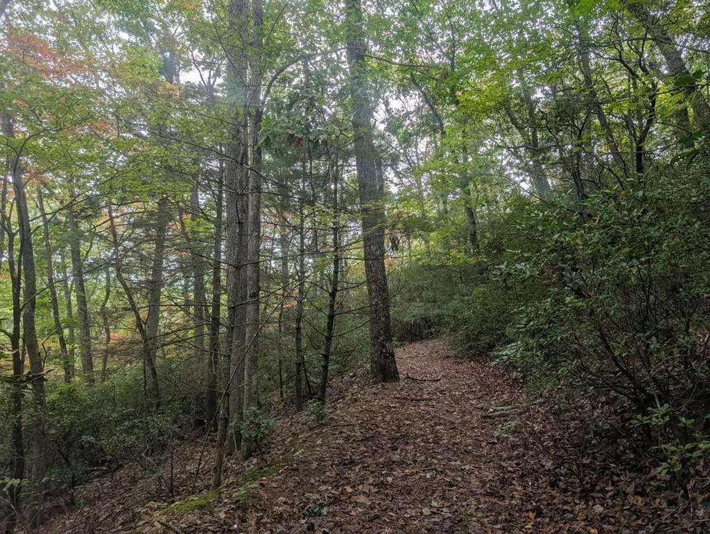 5.47 Ac Sierra Run, Blairsville GA 30512 - Photo