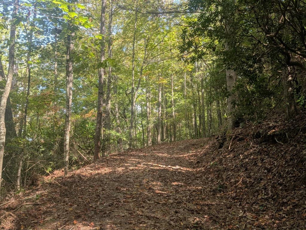 5.47 Ac Sierra Run, Blairsville GA 30512 - Photo