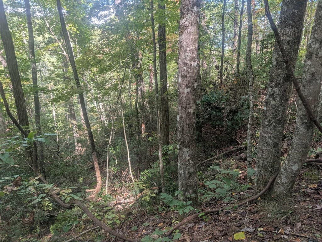 5.47 Ac Sierra Run, Blairsville GA 30512 - Photo