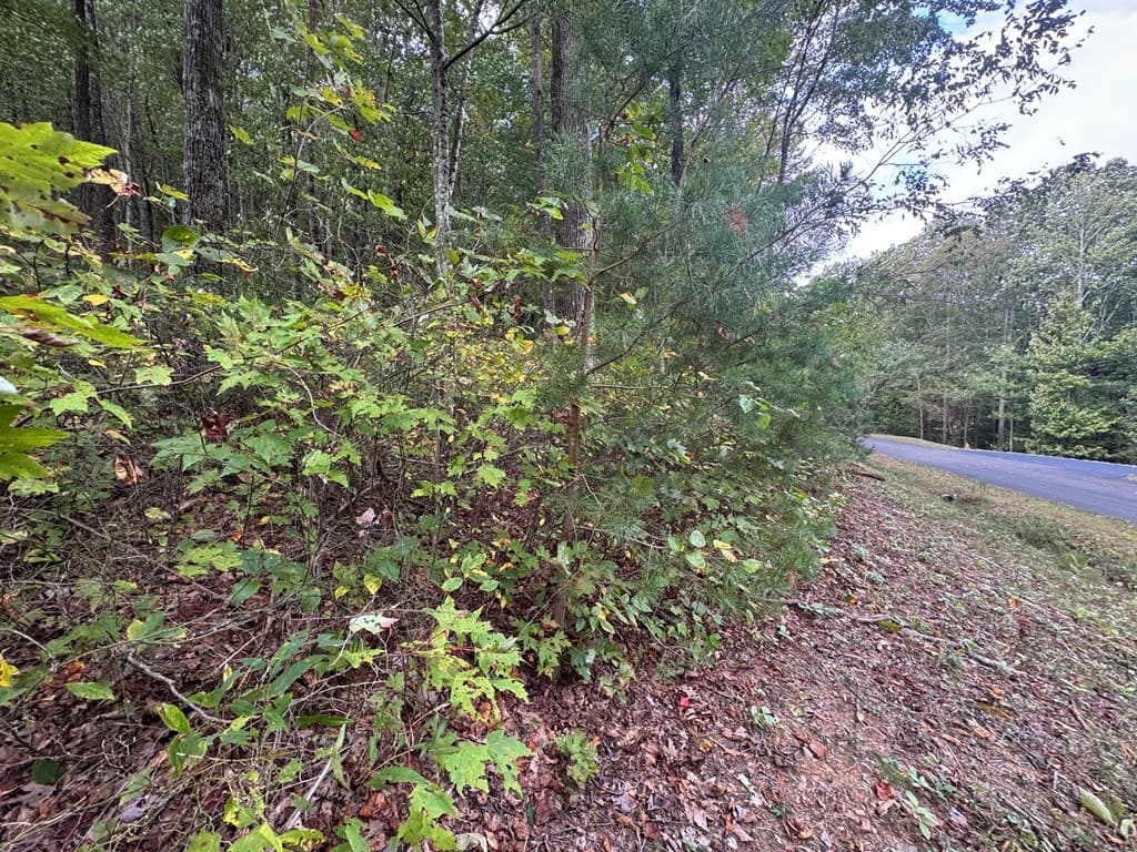 174 Trailwood, Ellijay GA 30536 - Photo