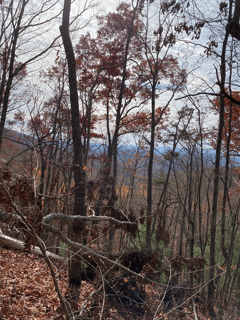 L334 335 Brushy Top Drive, Ellijay GA 30540 - Photo