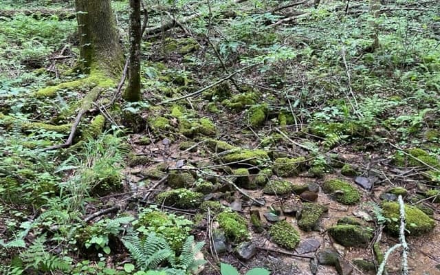 0 Trackrock Gap Road, Blairsville GA 30512 - Photo