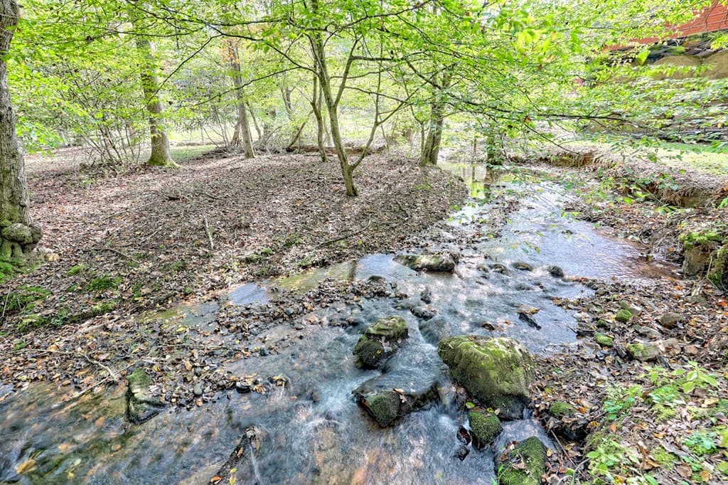 1306 Hot House Road, Hayesville NC 28904 - Photo