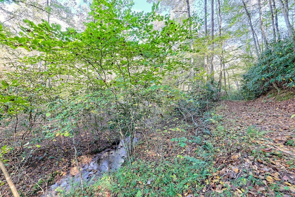 1306 Hot House Road, Hayesville NC 28904 - Photo