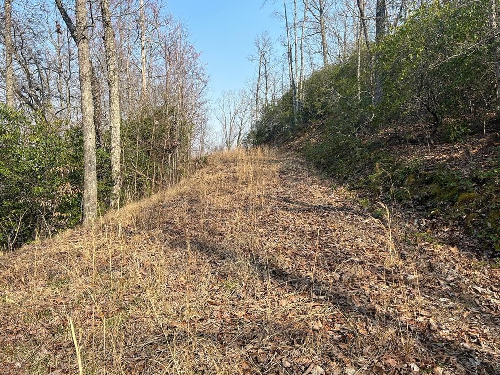 1306 Hot House Road, Hayesville NC 28904 - Photo